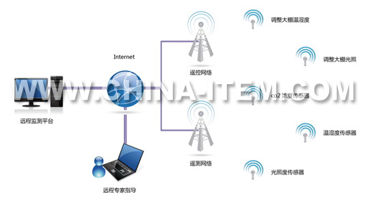無線傳感器 無線傳感器